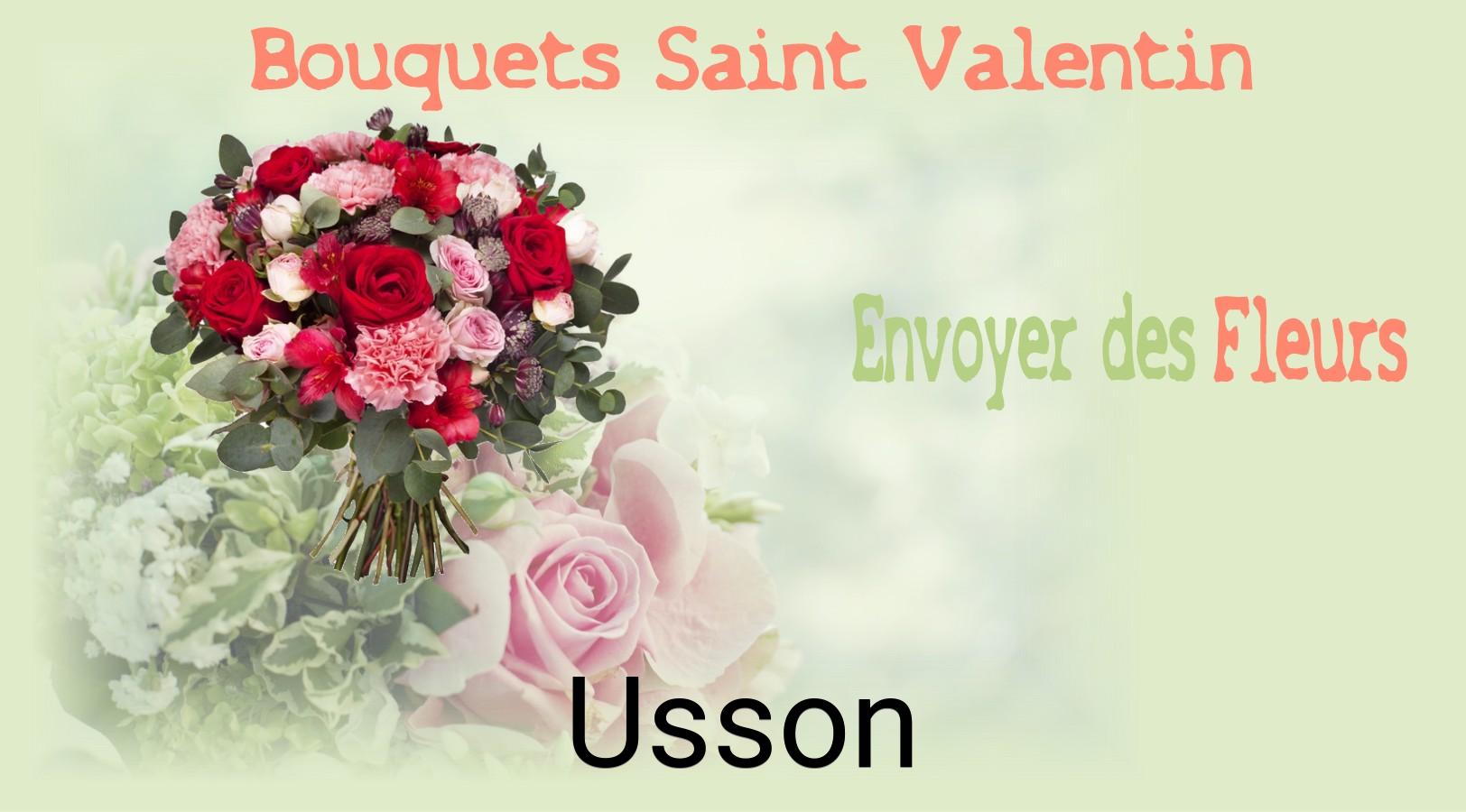 Roses de Saint-Valentin livrées à Usson