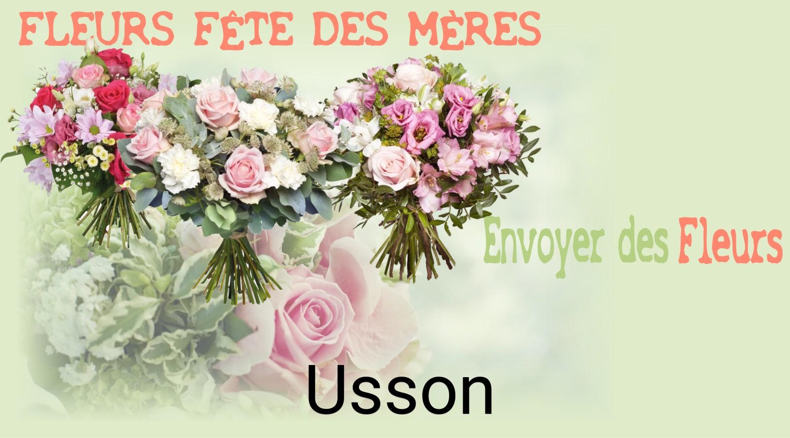 Bouquet de Fête des Mères livré à Usson